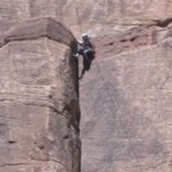 Meet your Posher, Grace - Picture 1 of 1